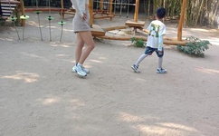 辣妈正传 百度影音